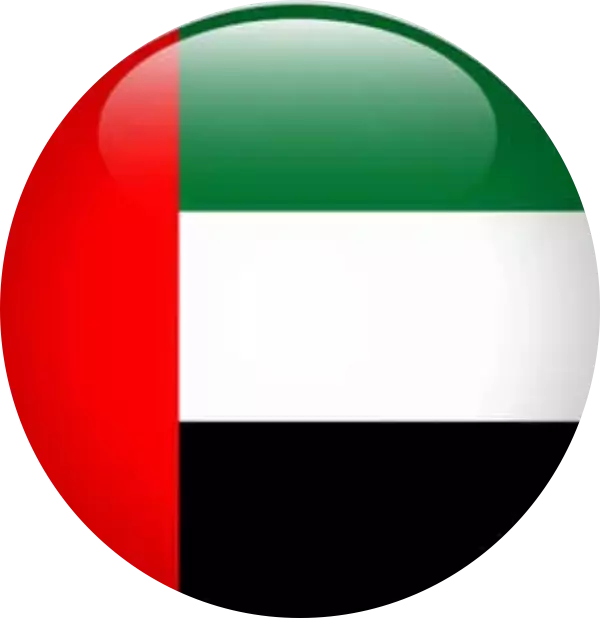Dubai Embassy Logo