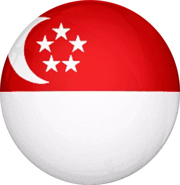 Singapore Embassy Logo